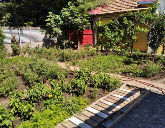 Продаж земельної ділянки 0.1 соток на КООП кооп Гидравлик-3 (КООП Массив 2), 1936 Єгорівка