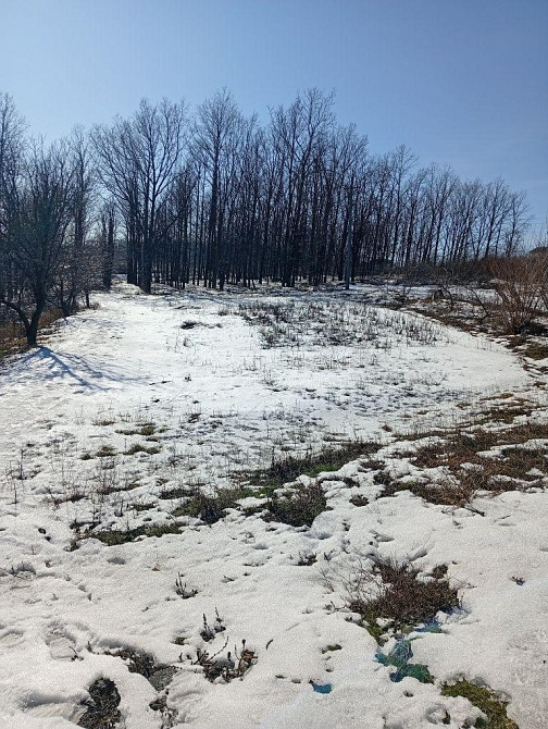 Продаж Будинок 6-кімнатний на вул. Олимпийская Новая Водолага - изображение 10