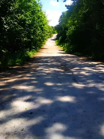 Продаж земельної ділянки  площа 6 сот Вишнева вулиця  - фото 6