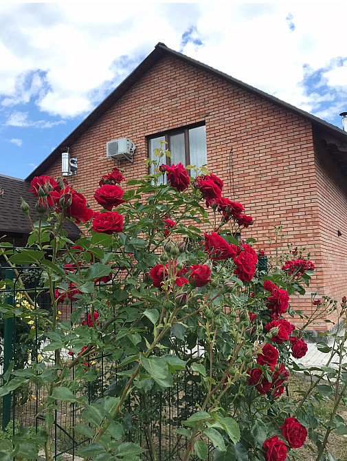 Продаж Будинок 3-кімнатний на Скоморохи Житомир - изображение 3