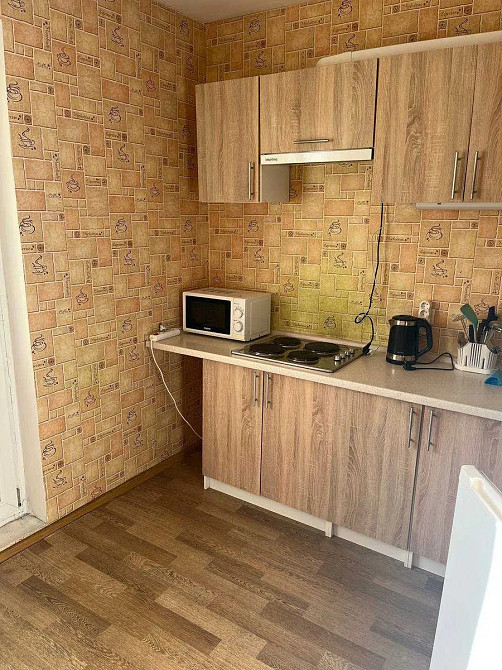 Оренда Квартира 1-кімнатна, 10/16 поверх на Максимовича, 7а Kiev - photo 2