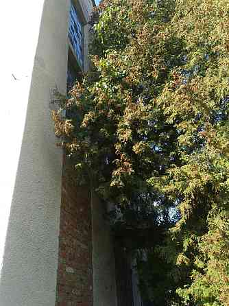 Продаж приміщення вільного призначення на Дмитра Вітовського поверх - 1/3 Halych