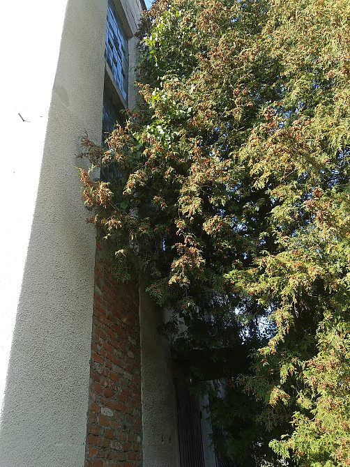 Продаж приміщення вільного призначення на Дмитра Вітовського поверх - 1/3 Halych - photo 5