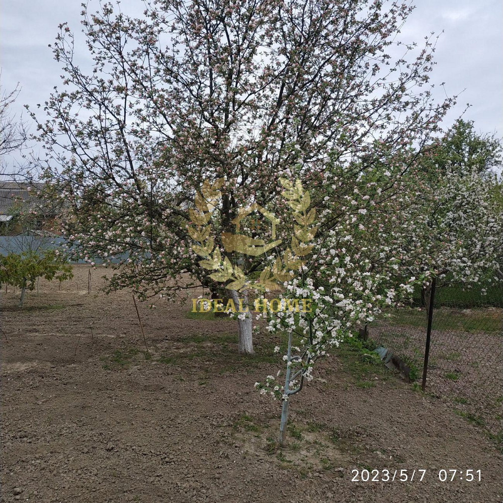 Продам дачу біля села Кощіївка Фастівського району  - фото 11