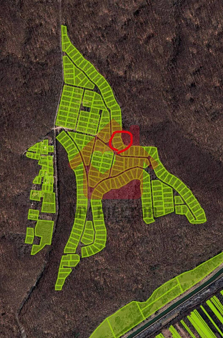 Продаж земельної ділянки 24 соток на невицька  - photo 6