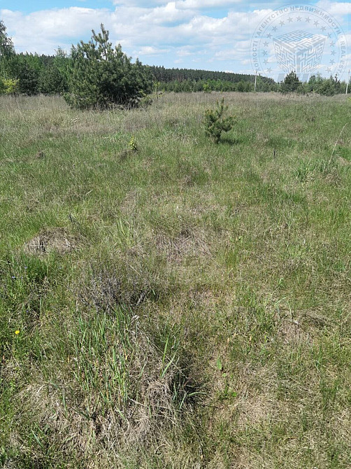 Продаж земельної ділянки 9 соток на Космічна вул., 4 Blystavytsia - photo 6