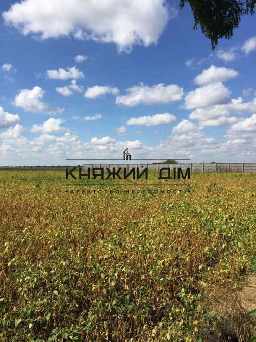 Продаж земельної ділянки 60 соток на М. Михайлюка, 45  - фото 2