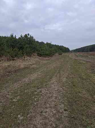 Продаж земельної ділянки 12 соток Kremenets'