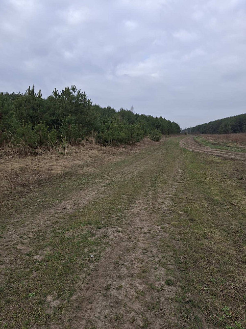 Продаж земельної ділянки 12 соток Kremenets' - photo 4