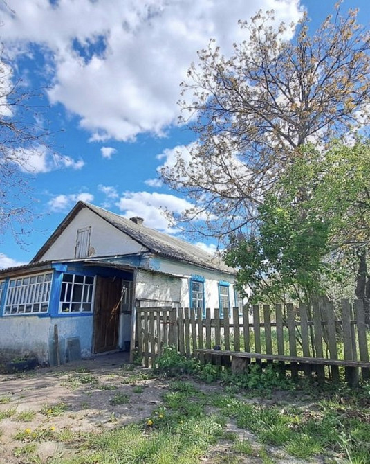 Продаж земельної ділянки 25 соток на Кмитів Zhytomyr - photo 1