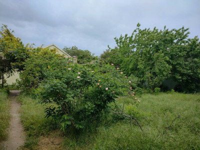 Продаж земельної ділянки 0.1 соток на ул. Космонавта Комарова, 23 Одеса - фото 2