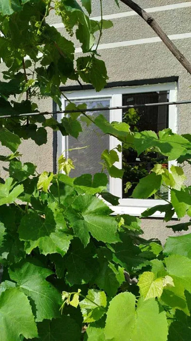 Продам дом в Кировограде, район детской областной больницы Kirovohrad - photo 20