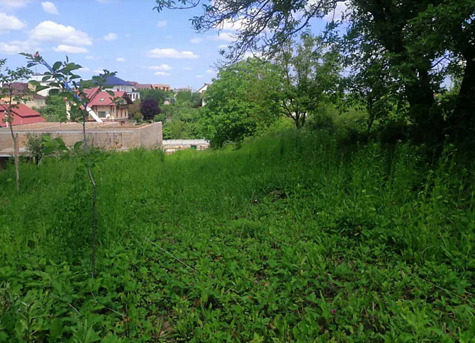 Продаж земельної ділянки сільськогосподарського призначення, площа 30 соток, Байківці Байківці - фото 6