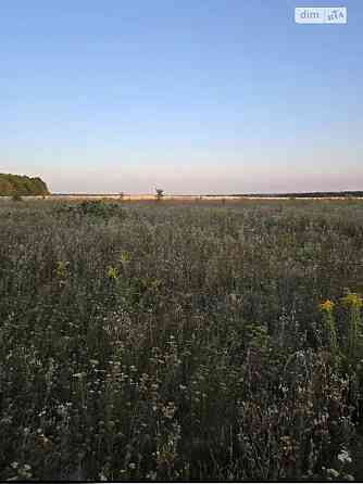 Продаж земельної ділянки 8 га Vinnytsya