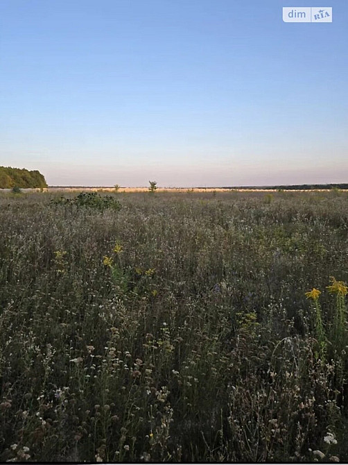 Продаж земельної ділянки 8 га Vinnytsya - photo 3