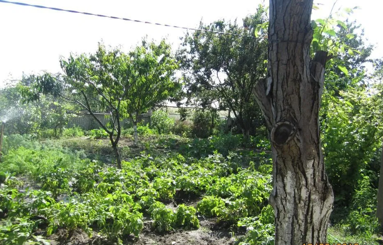 Продам капитальный дом в пгт Лиманское Лиманське (Ренійський район) - фото 12