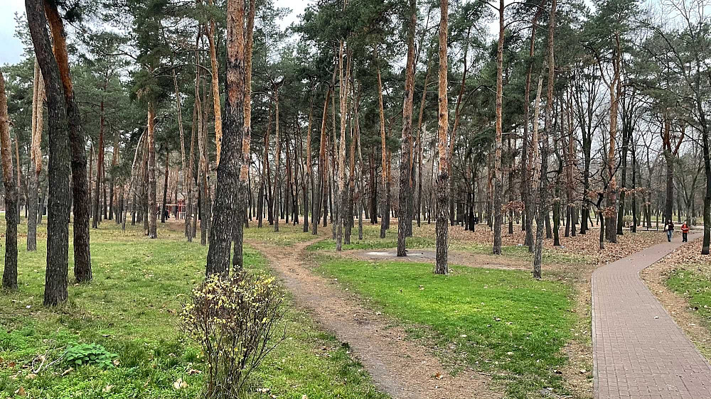 Продаж Квартира 2-кімнатна, 4/5 поверх на Дарницький вул., д. 17 Kiev - photo 17