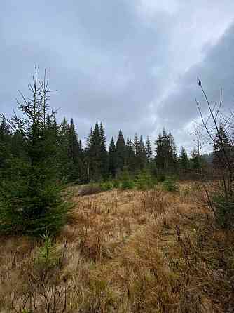 Продаж земельної ділянки 1 га 