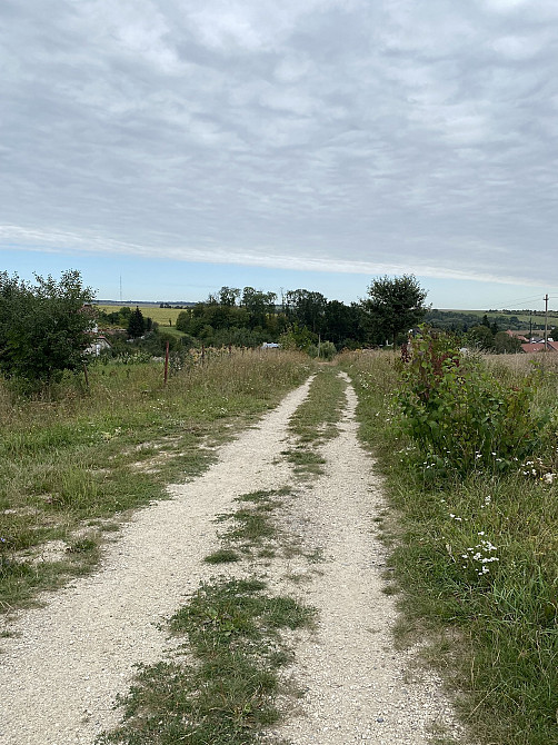 For sale land plot  area 23 ares Джерельна  - photo 12