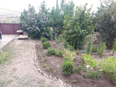 Продаж земельної ділянки 0.1 соток на ул. Зеленая (ул. СТ Здоровье), 29 Холодна Балка - фото 1