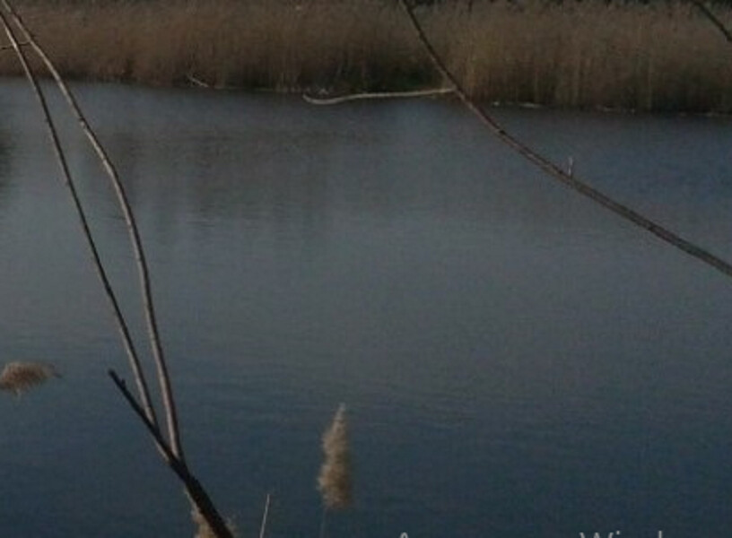 Продаж земельної ділянки 4 га на улица Луговая, д. Мотижин - изображение 2