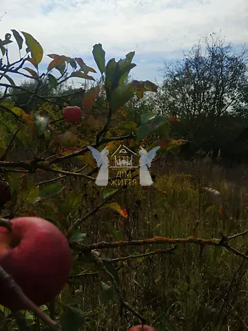 Продажа земельного участка  площадь 6.3 сот Яблунева вулиця  - изображение 2