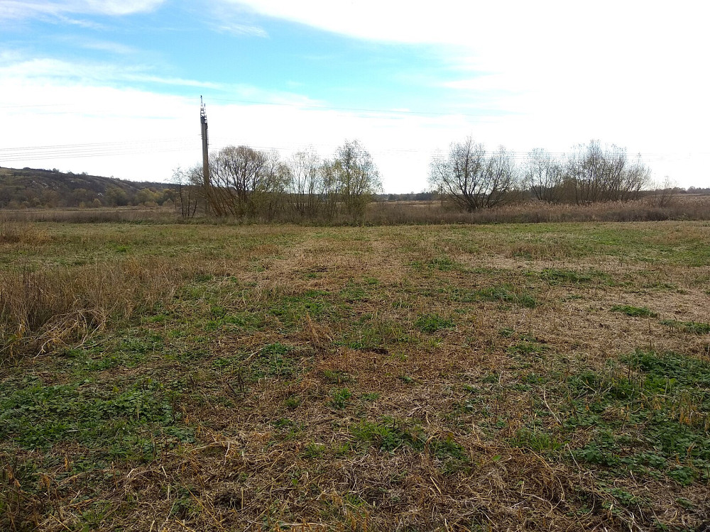 Продаж земельної ділянки 15.6 соток  - photo 3