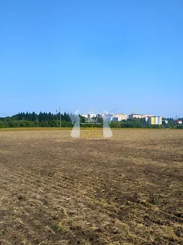 Продаж земельної ділянки  площа 240 сот вул. Бережанська 1 Підгородне - фото 4