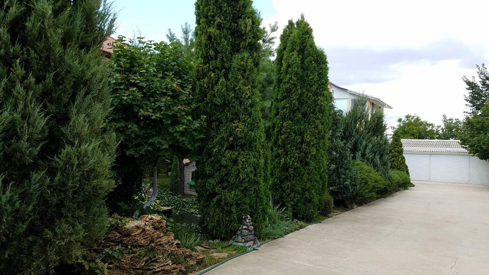 Продаж Будинок 5-кімнатний на просп. Виталия Нестеренко (просп. Высоцкого), 84 Фонтанка - фото 10