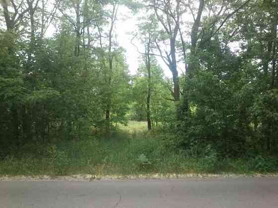 Продаж земельної ділянки 12 соток Вороньківка