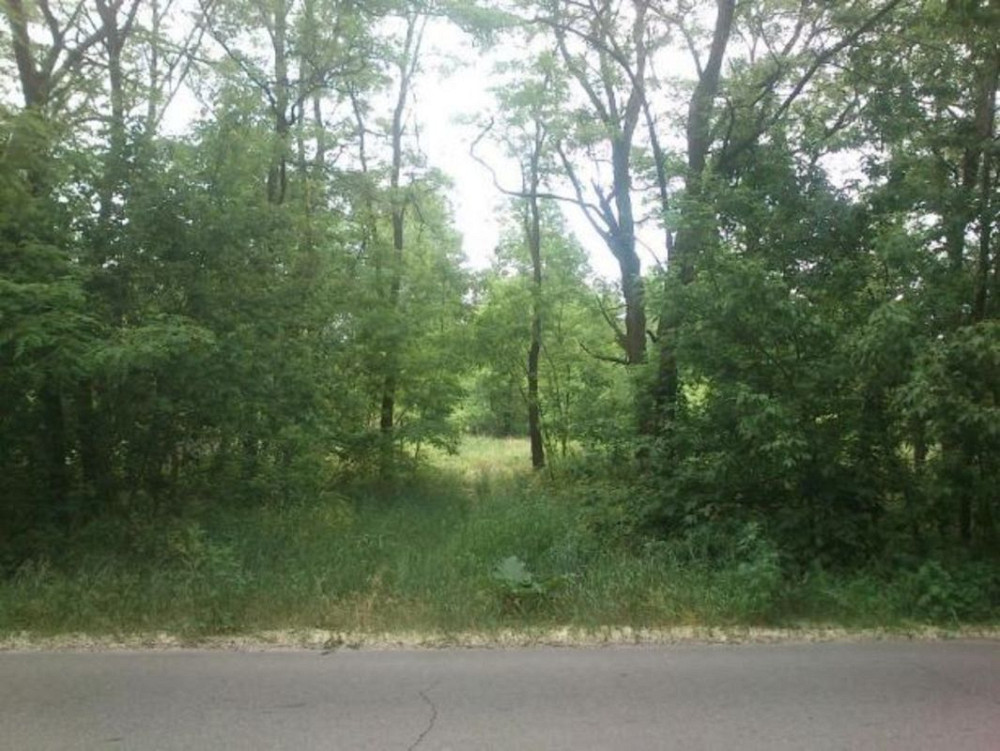 Продаж земельної ділянки 12 соток Вороньківка - фото 3