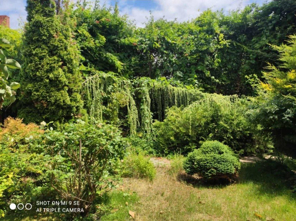 Продаж земельної ділянки 0.1 соток на ул. Зелена, 27 Фонтанка - фото 2