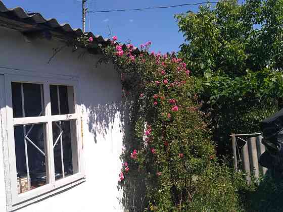 Продаж Будинок 2-кімнатний Kostopil'