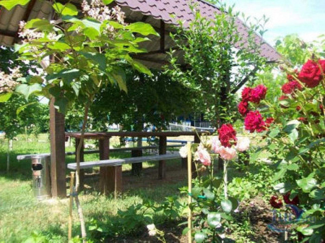 Продаж приміщення вільного призначення Грибівка - фото 6