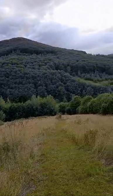 Продаж земельної ділянки 71.71 соток Yaremche - photo 2