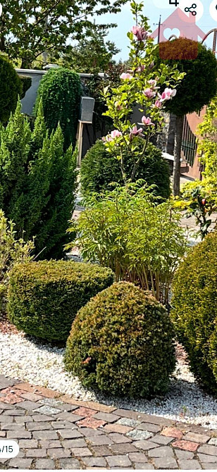 Продаж Будинок Ужгород - фото 4