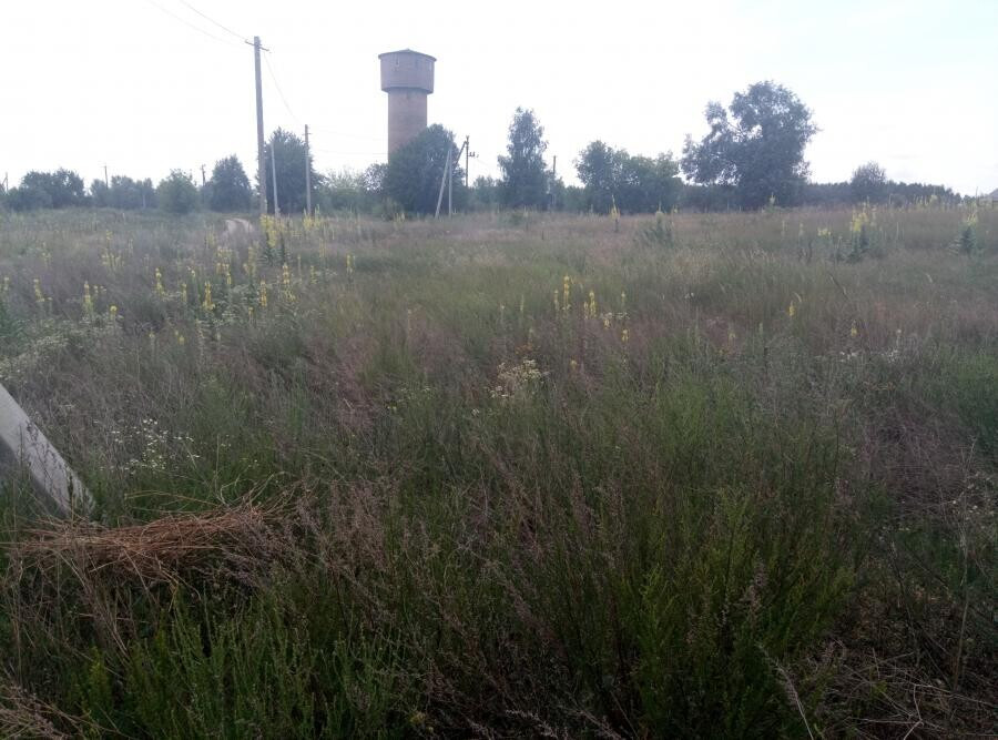 Продаж земельної ділянки 25 соток на улица Весенняя, д.  - изображение 4