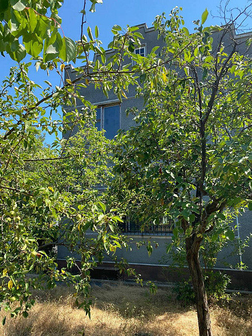 Продаж Будинок на СТ Струмок, 67  - фото 11