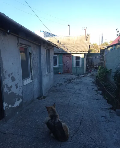 Продам дом в районе Автовокзала (р-н Сахарный поселок) Одесса - изображение 15