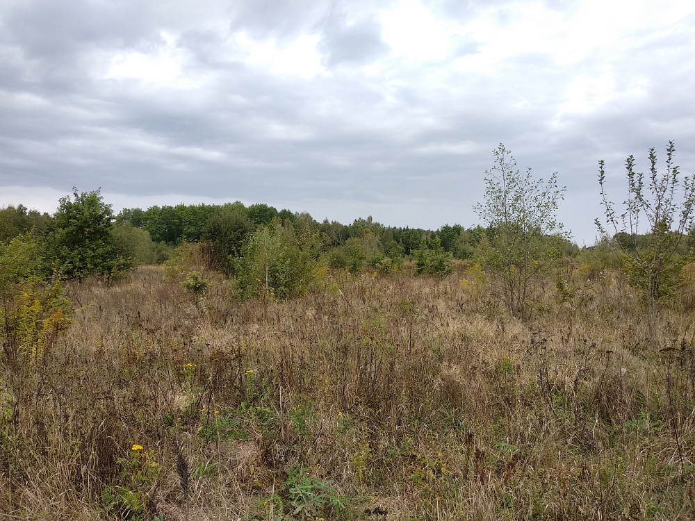 Продаж земельної ділянки 35.3 соток Pavlivka - photo 5