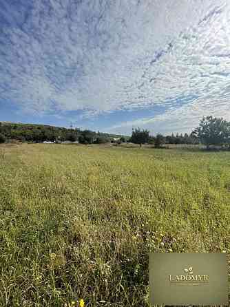 Продаж земельної ділянки 14 соток на вул. Центральна Zdolbuniv