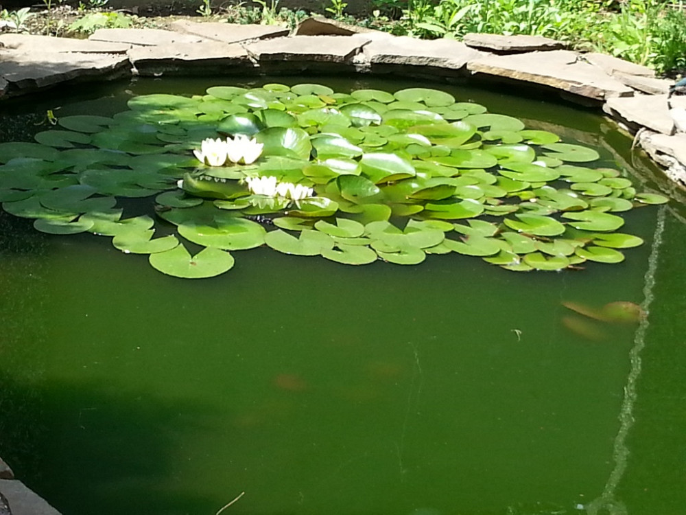 Продаж комерційне приміщення на ул. Педагогическая, 21 приміщень - 3, поверх - 1 Одеса - фото 11