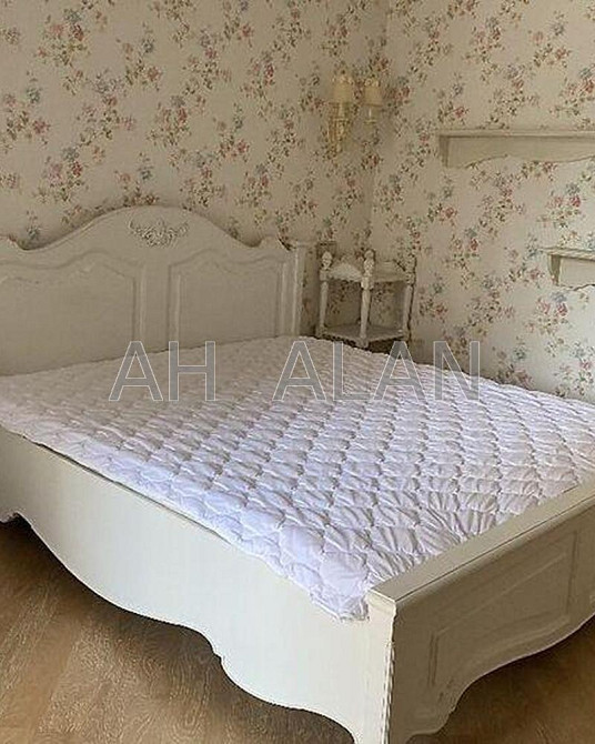 Оренда Будинок 4-кімнатний на Інститутська вул., 18А Київ - фото 3