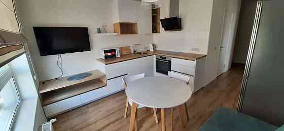 Оренда Квартира 1-кімнатна, 11/25 поверх на Камянська, 128 Kiev