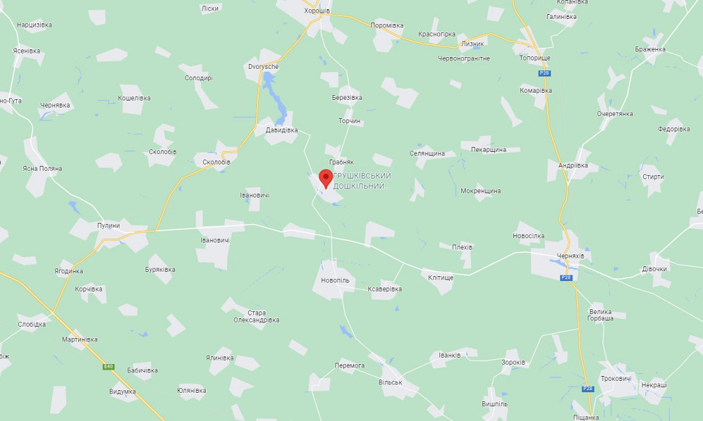 Продаж 1-поверховий Будинок з ділянкою 40 сот 70 кв.м 2 кімн. на Грушки Житомир - изображение 4