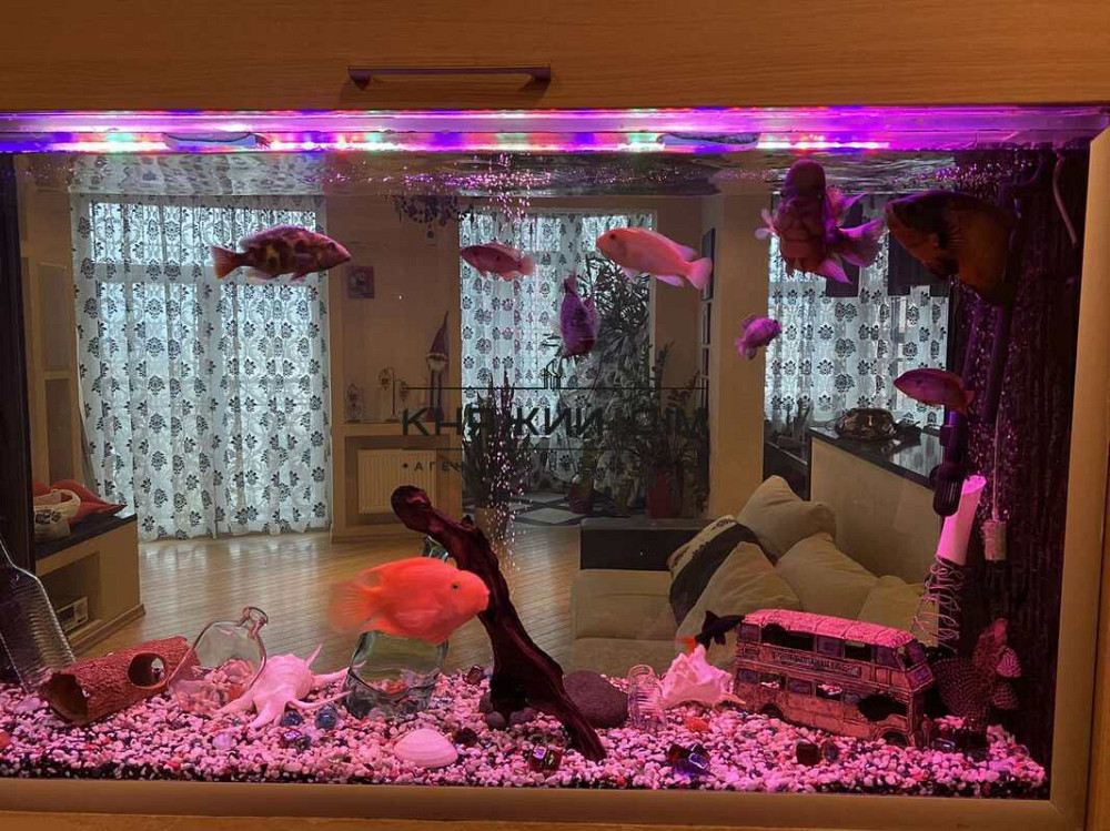 Оренда 3-кімнатної квартири ЖК Творець Київ - фото 9