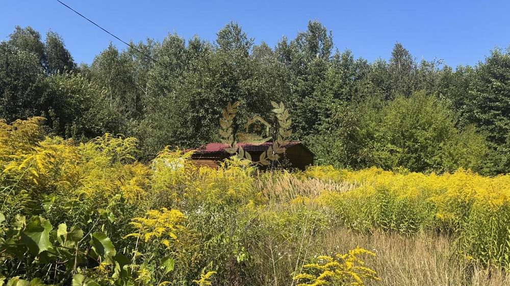 Продаж земельної ділянки 9.46 соток на Мира ул. Федорівка (Іванківський район) - фото 3