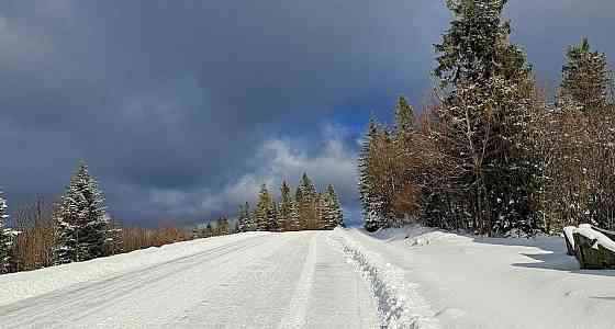 Продаж земельної ділянки 6 соток на вул. Лісна Oriavchyk