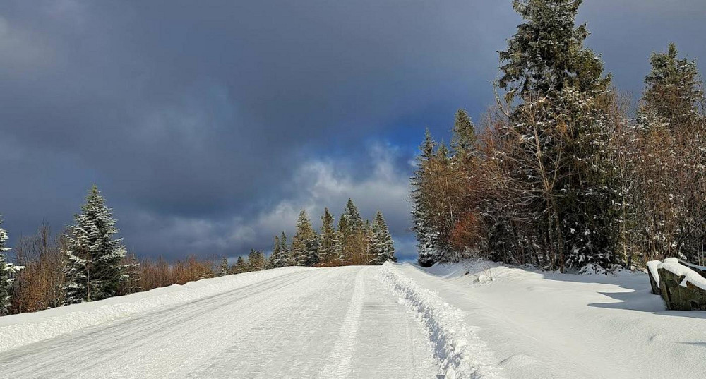 Продаж земельної ділянки 6 соток на вул. Лісна Орявчик - фото 5