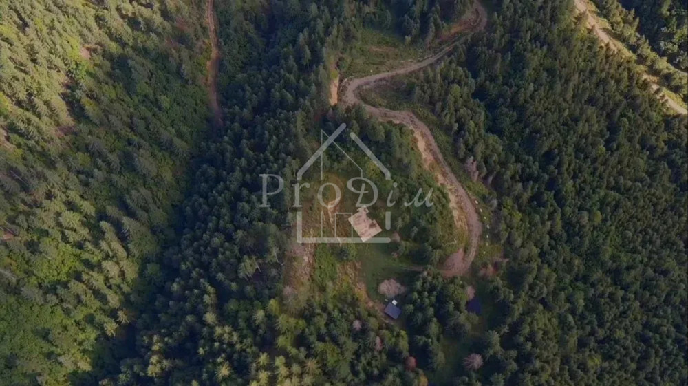 Продаж земельної ділянки 80 соток на Довга Верхній Ясенів - фото 15